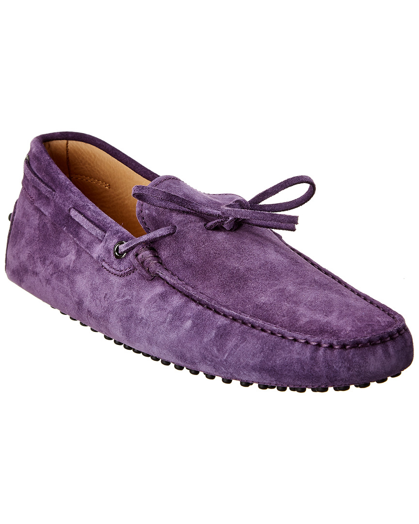 tods gommino suede