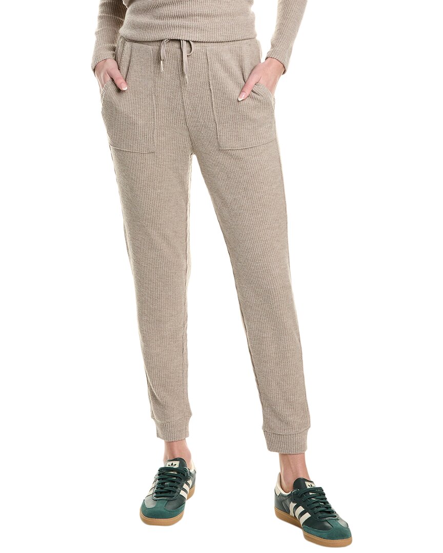 Splendid London Lounge Jogger Pant In Brown