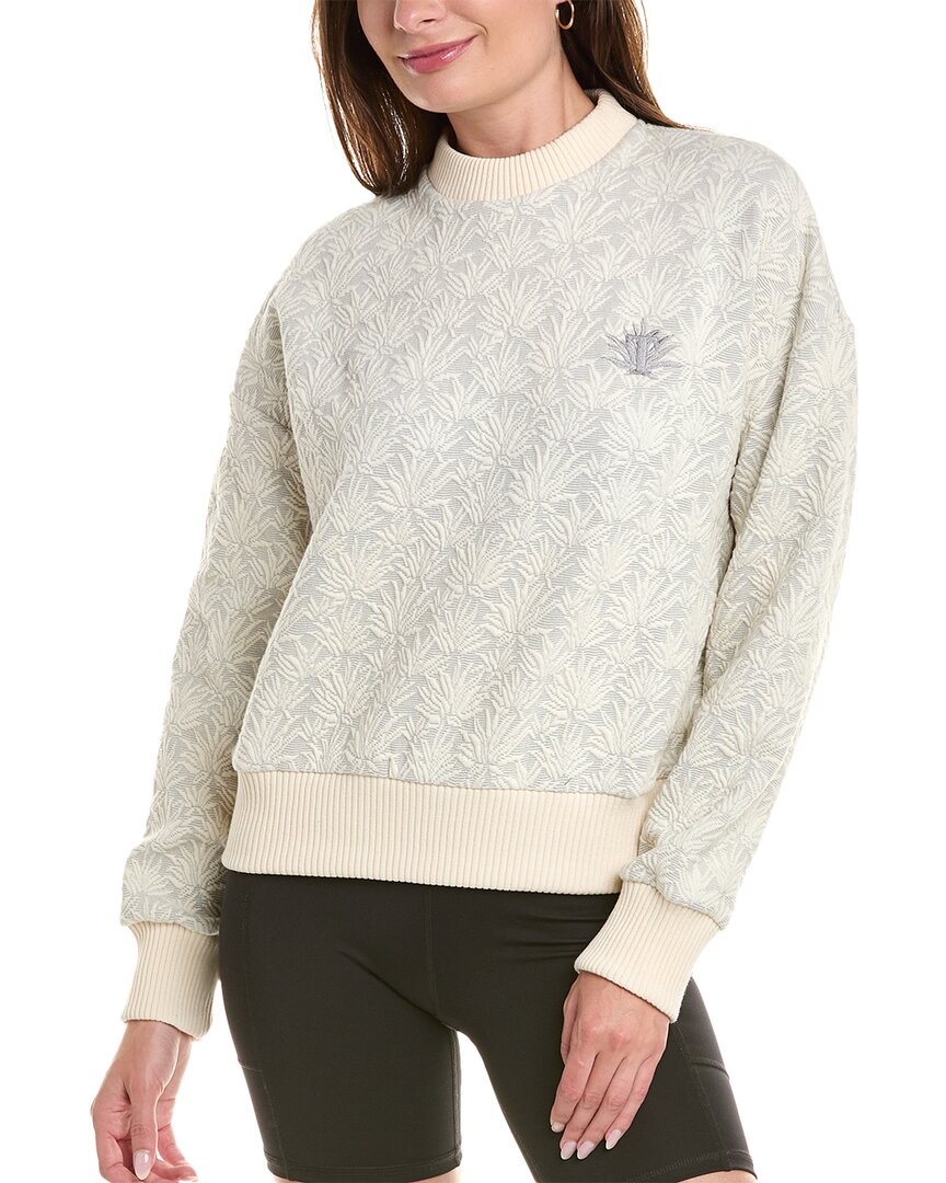 Twenty Montreal Agave 3d Blister Knit Pullover In Multi