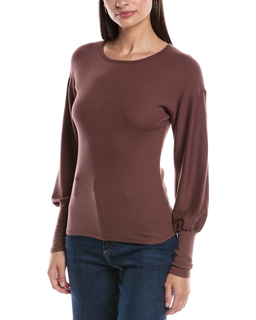 Michael Stars Misha Top In Brown
