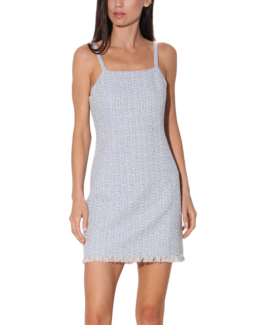 Shop Walter Baker Barbara Mini Dress