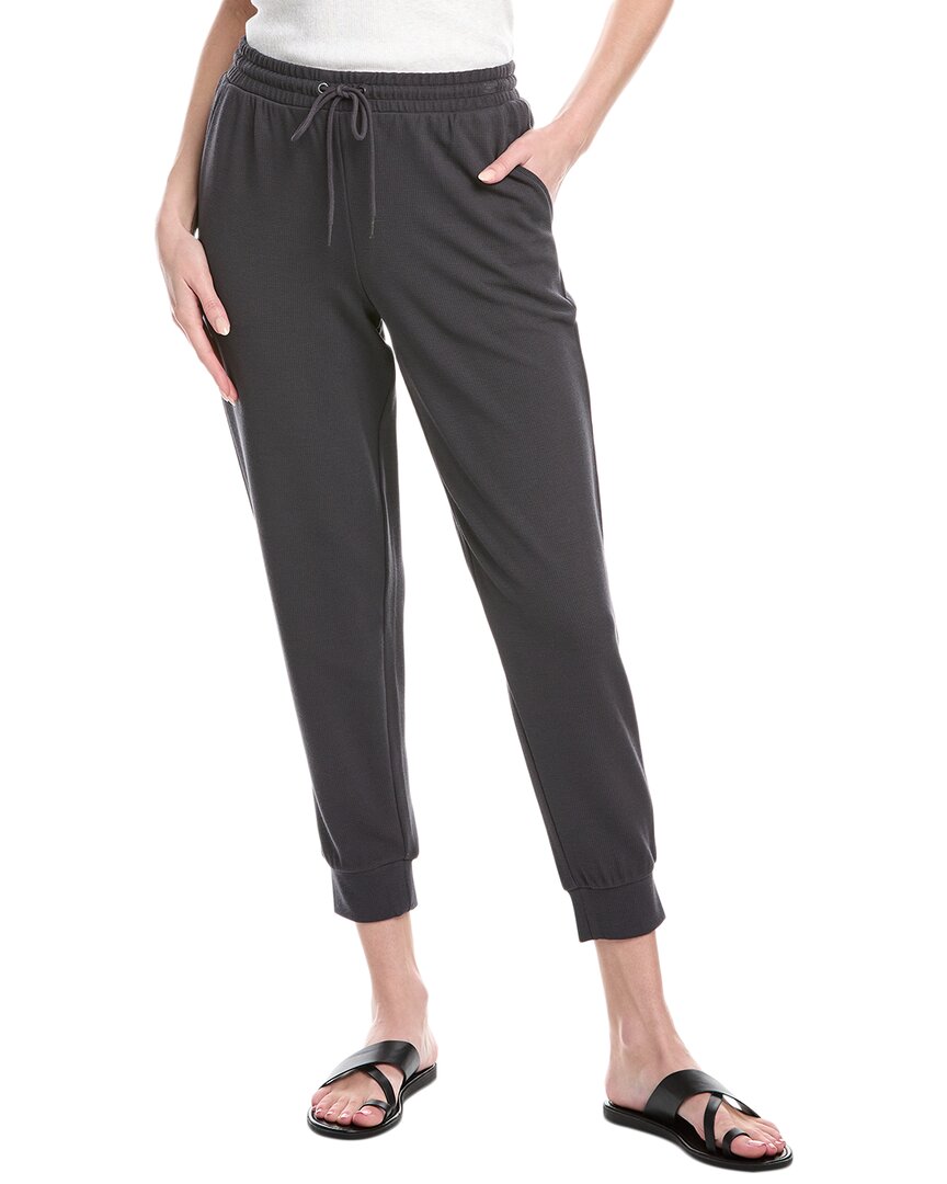 Splendid Tie Waist Waffle Stitch Scuba Joggers In Black