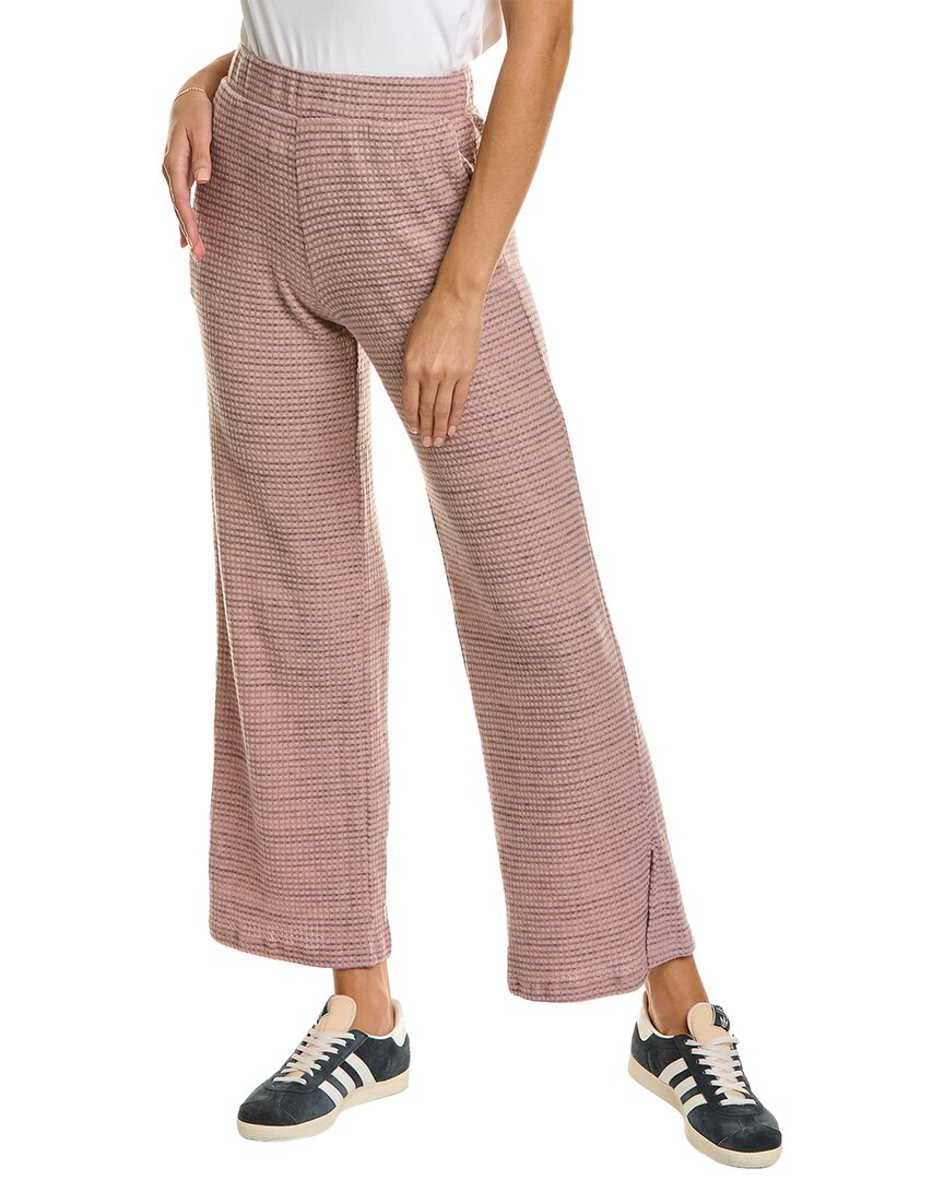 Shop Project Social T Audre Brushed Thermal Pant In Pink