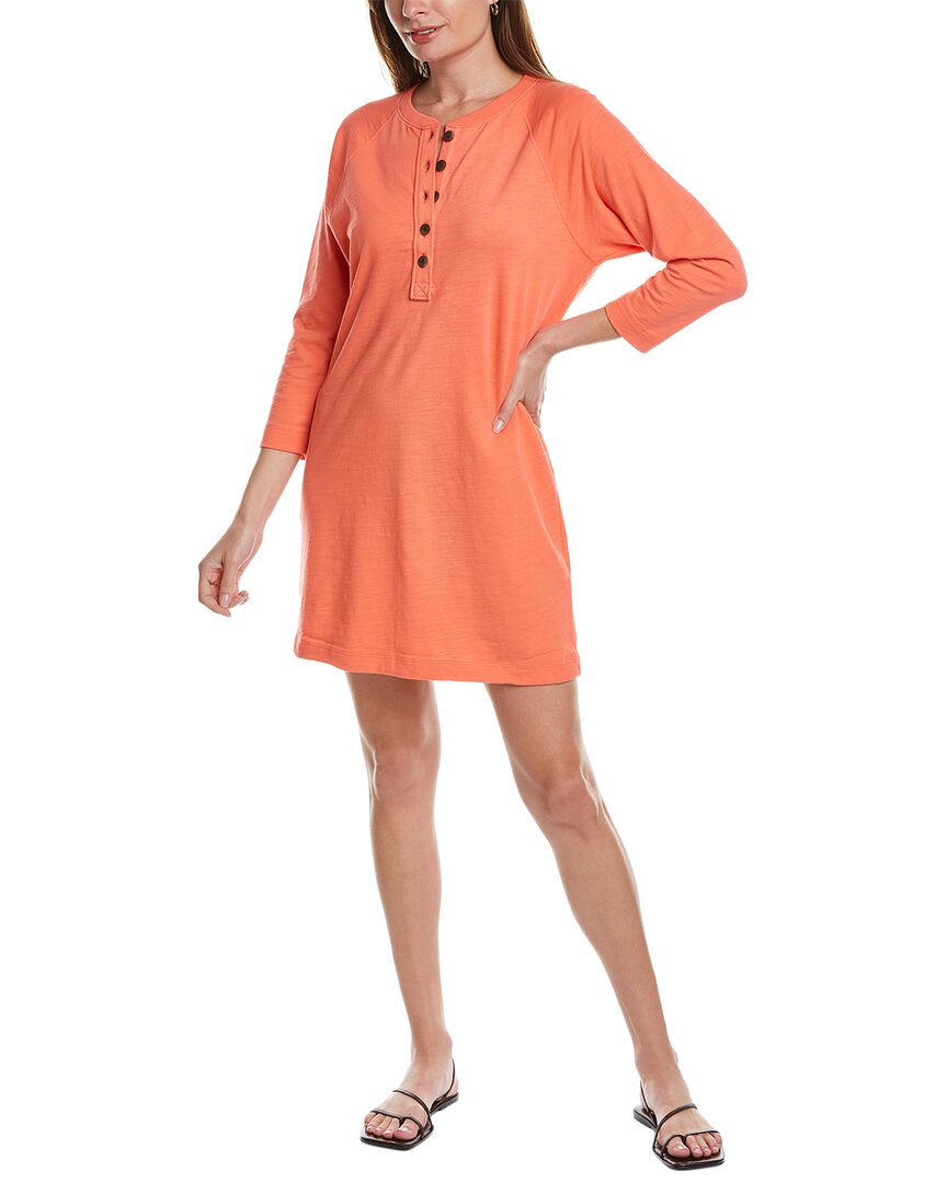 Lilla P 3/4 Sleeve Henley Dress Crocus PA2101-CRO - Island Farm