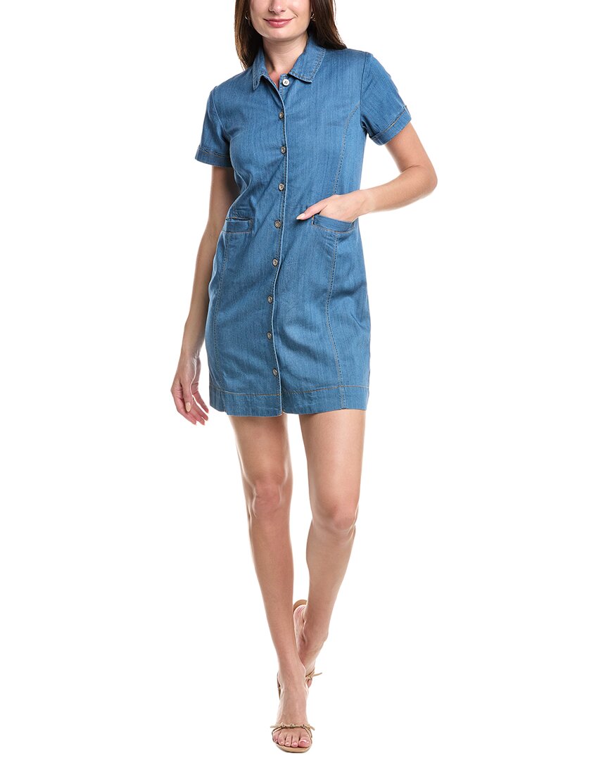 Cabi Piece Of Cake Shirtdress