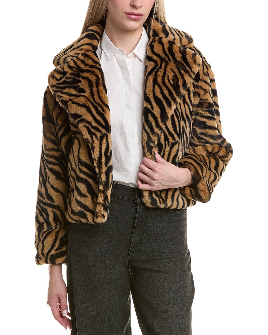 Sara Campbell Cropped Jacket In Brown