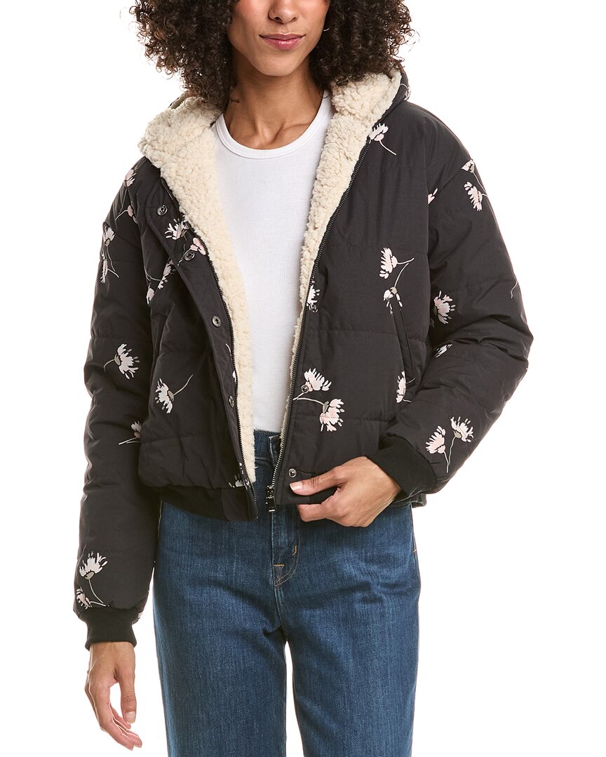 Saltwater Luxe Izzy Puffer Jacket In Black