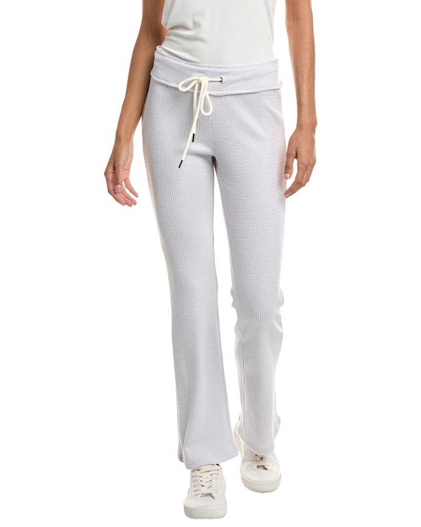 Chaser Izzie Jogger Pant In Gray