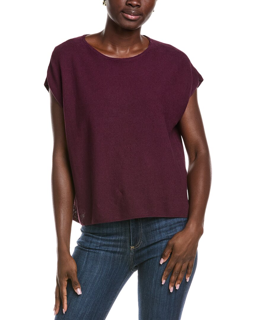 Eileen Fisher Raglan Sweater In Brown