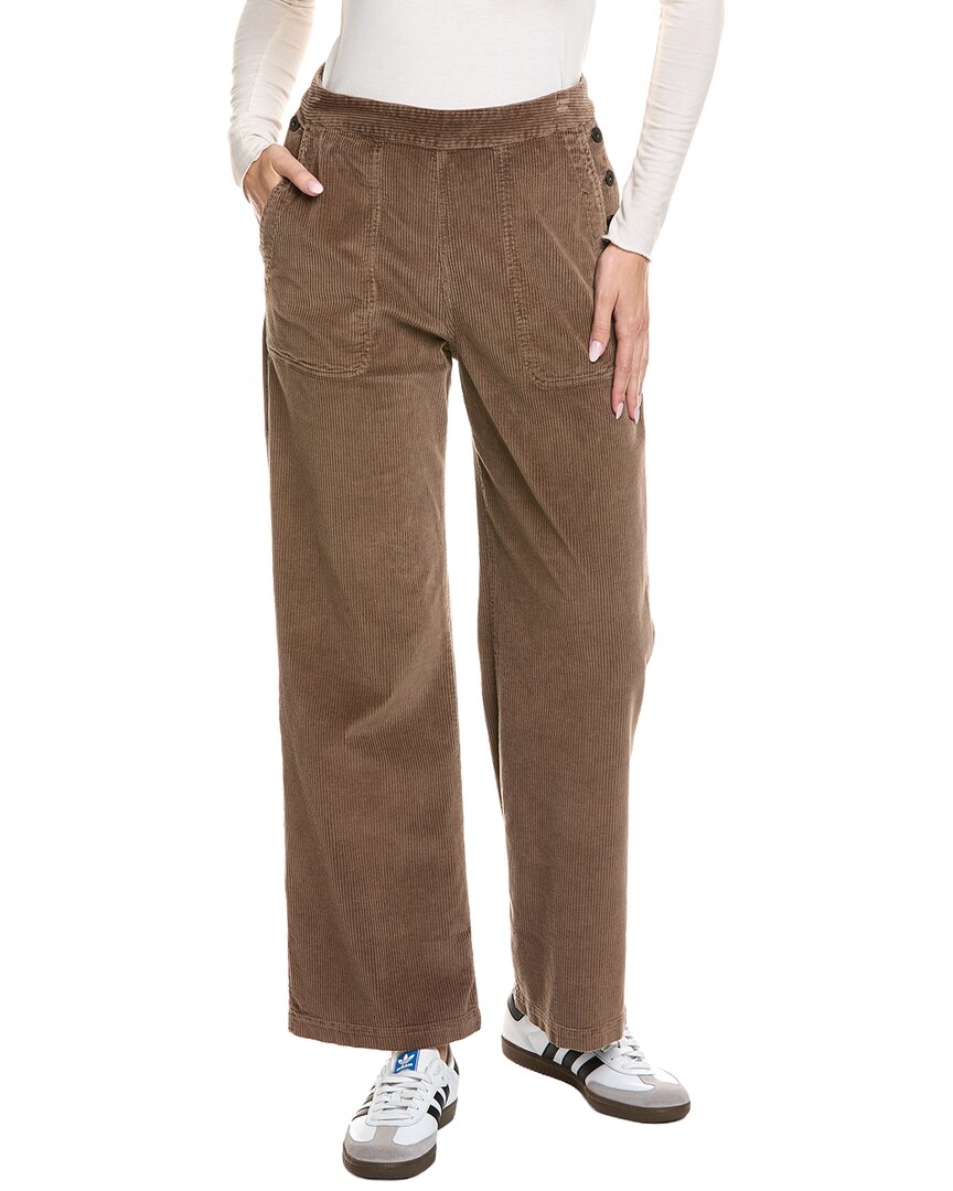 James Perse Soft Corduroy Panel Pant In Brown