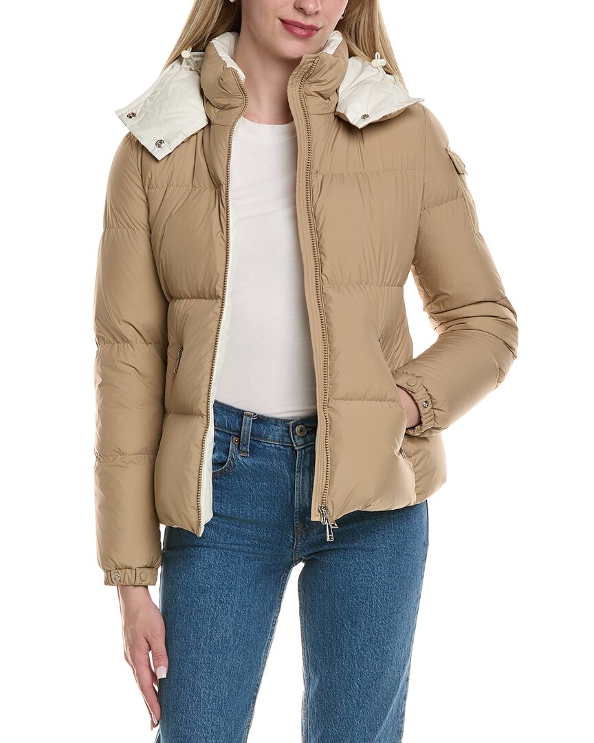 Moncler Nades Short Parka In Multi