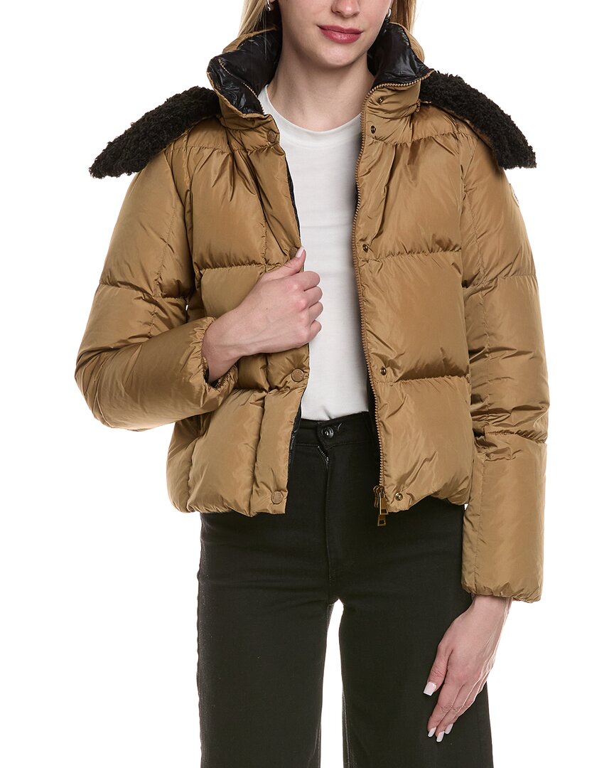 Moncler Down Puffer Jacket In Brown