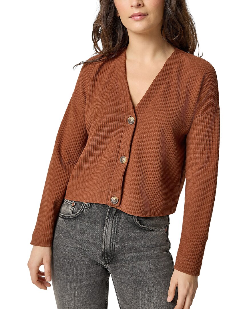Lilla P Cardigan In Brown