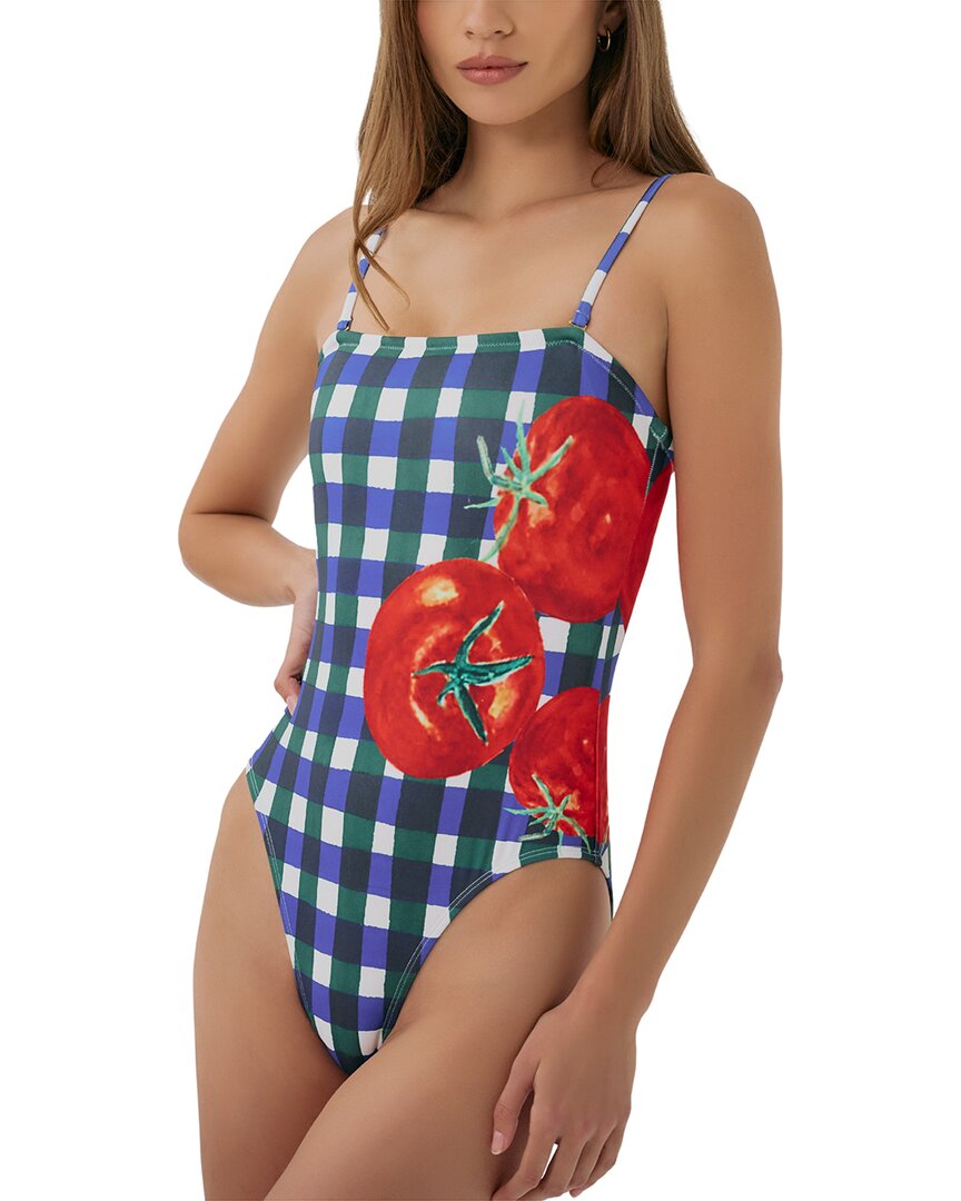 Hutch Tavy One Piece In Multicolor