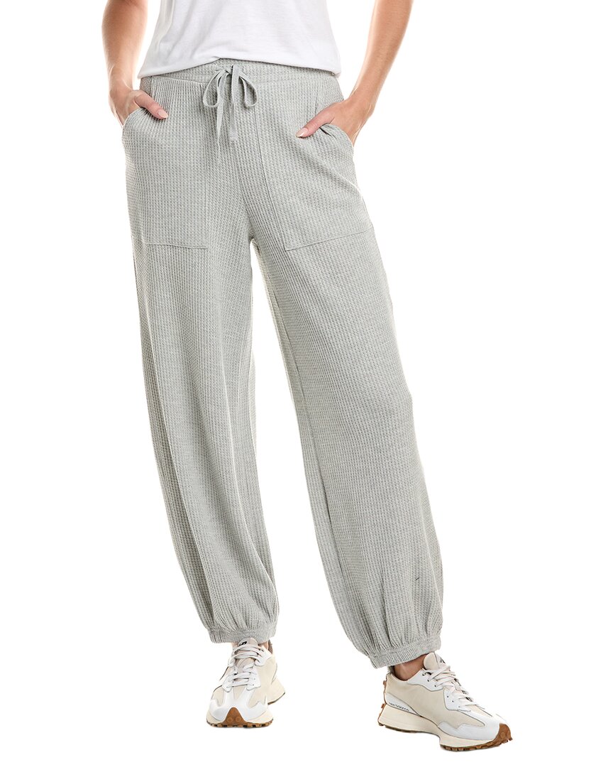 Chaser Waffle Thermal Billyy Jogger Pant In Grey