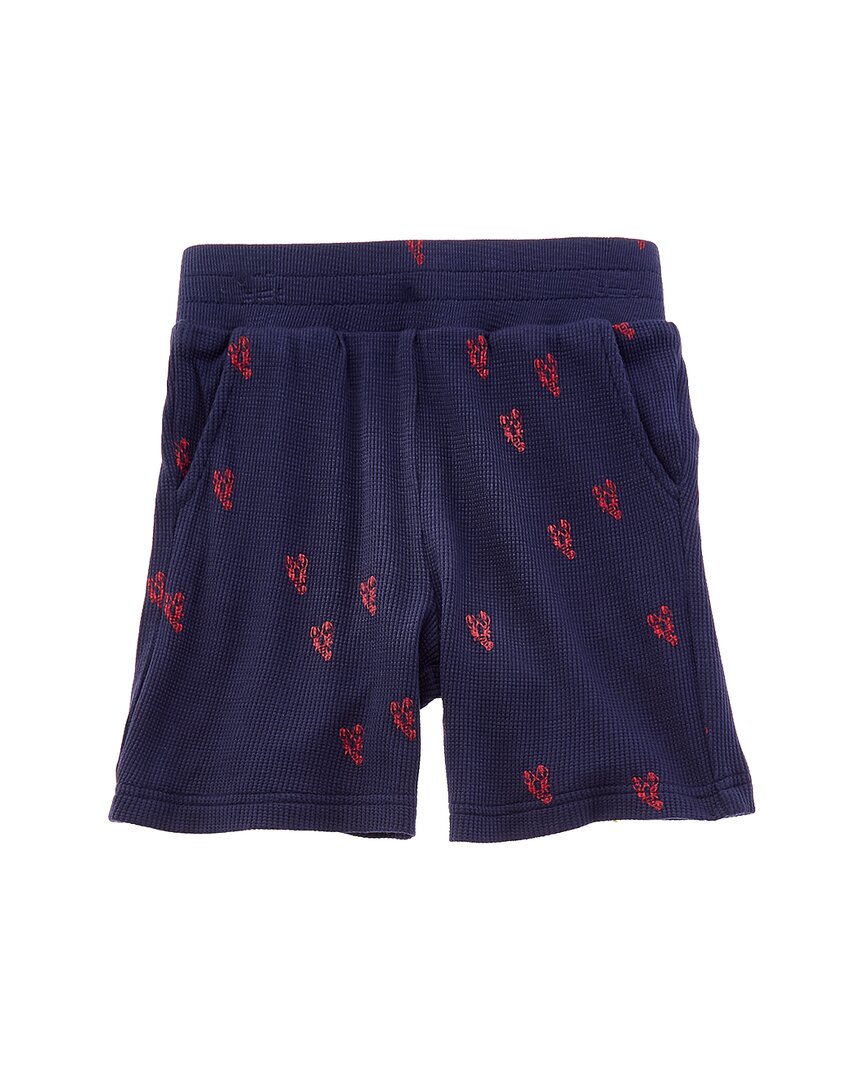 Chaser Knit Coxy Beach Short