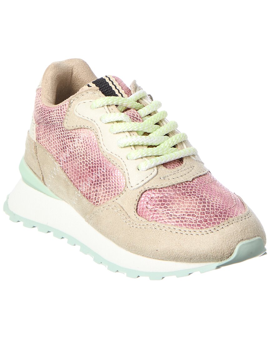 Shushop Phoebe Leather-trim Sneaker In Multi