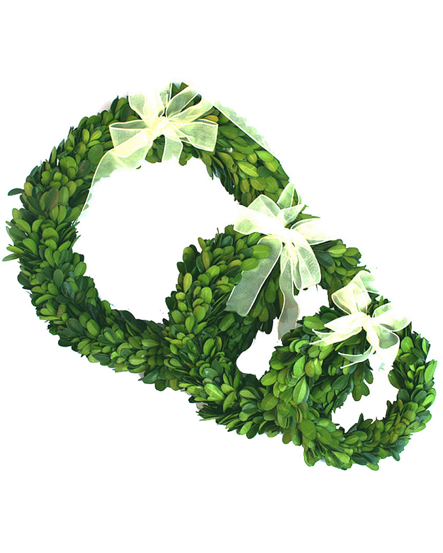 Mills Floral Set Of 3 Boxwood Wreaths In Multicolor