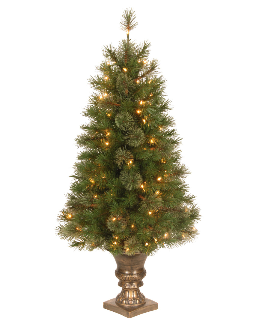 National Tree Company 4ft Atlanta Spruce Entrance Tree With Clear Lights