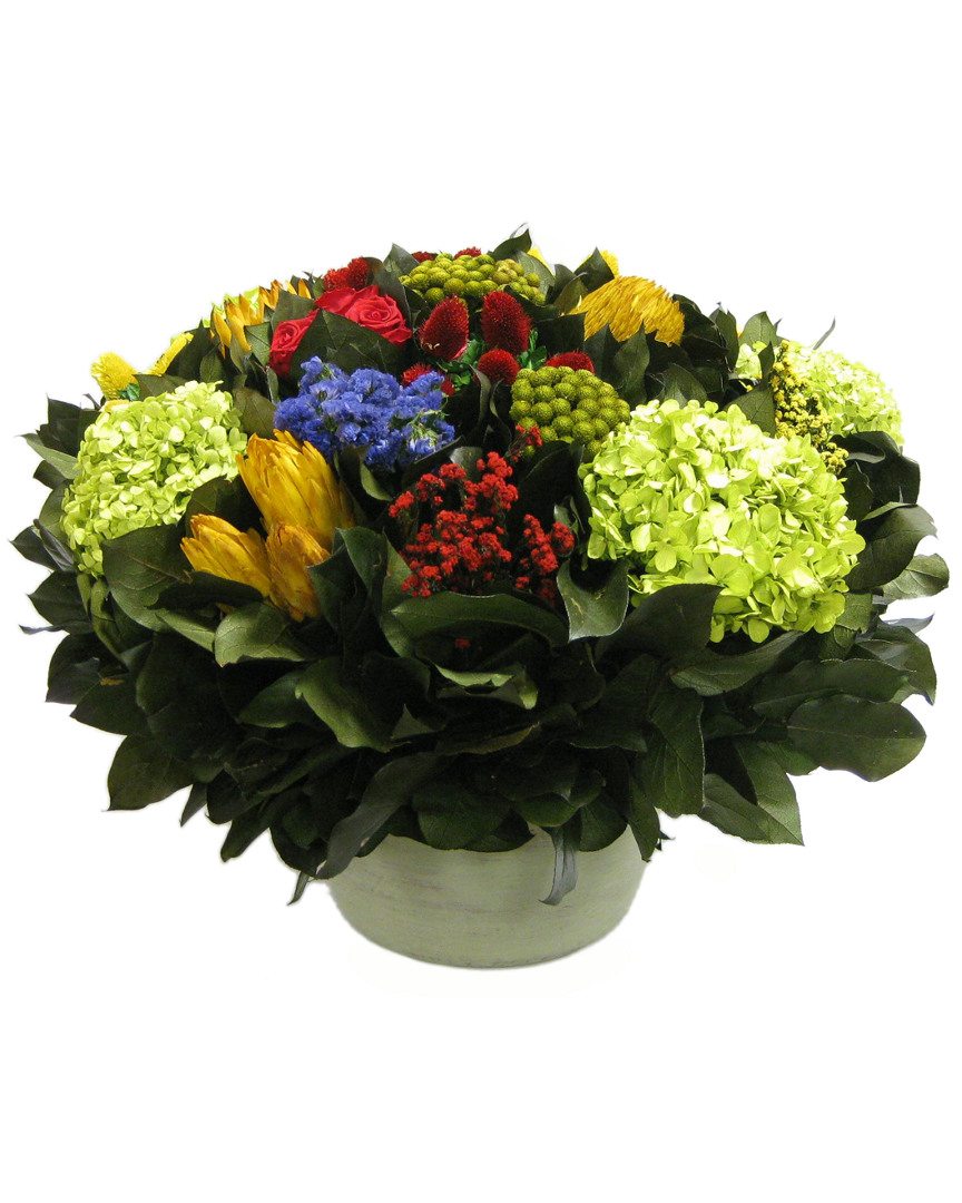 Image of Bougainvillea in Topiary