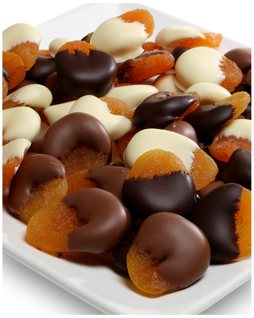 Chocolate Covered Company 1lb Belgian Chocolate Dipped Apricot Set