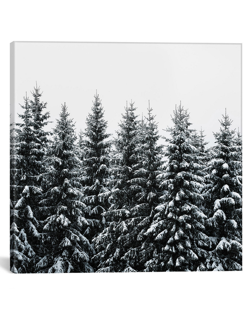 Icanvas Discontinued The White Bunch By Tordis Kayma Canvas Artwork