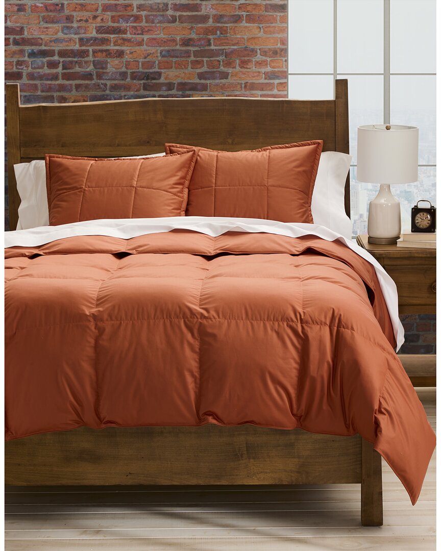 Cuddledown 700fp Chroma Down Comforters - All Season In Orange