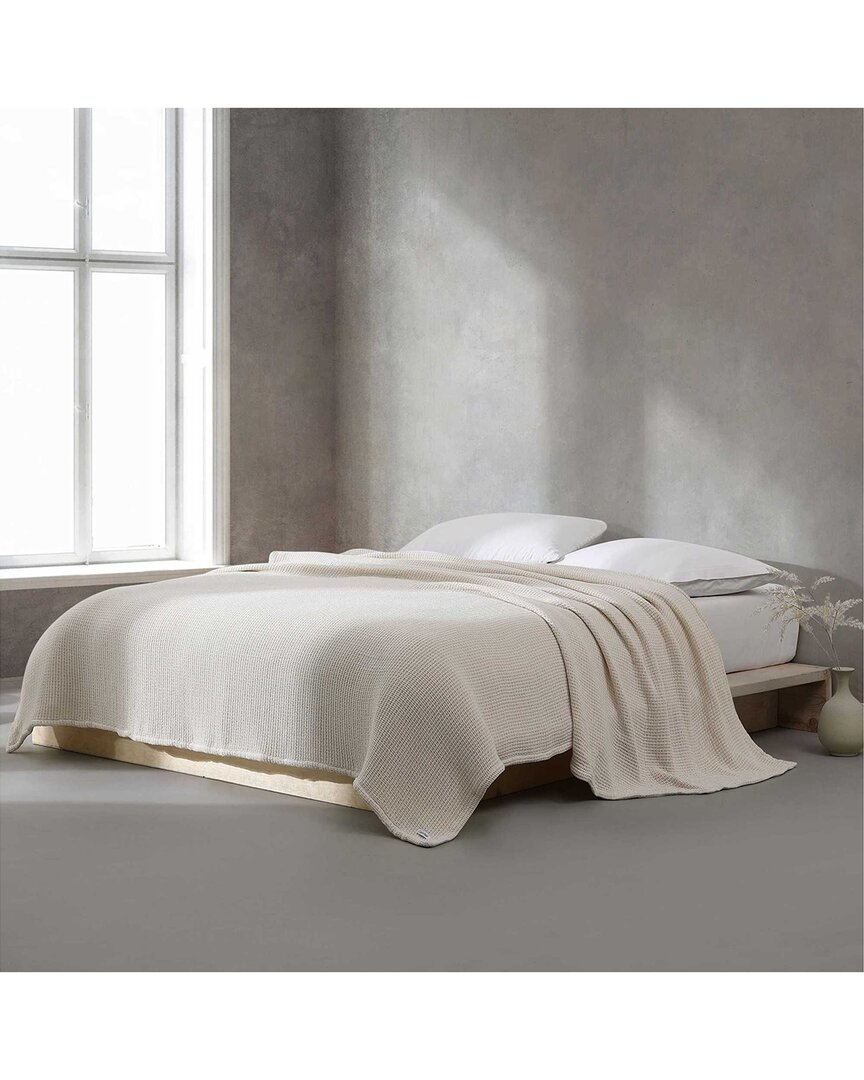 Calvin Klein Ck Cotton Weave Blanket