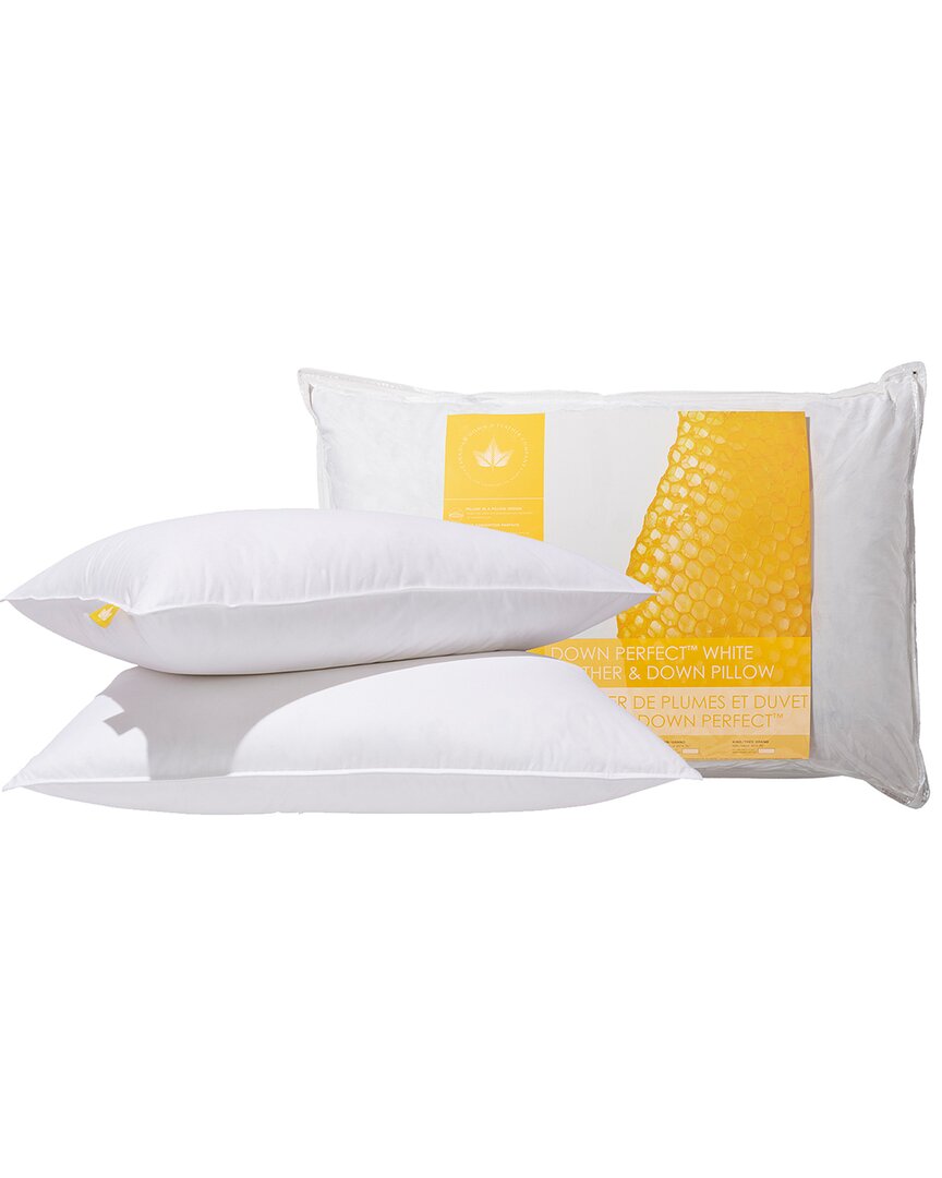 Shop Canadian Down & Feather Company Down Perfect White Feather & Down Pillow  Medium Support