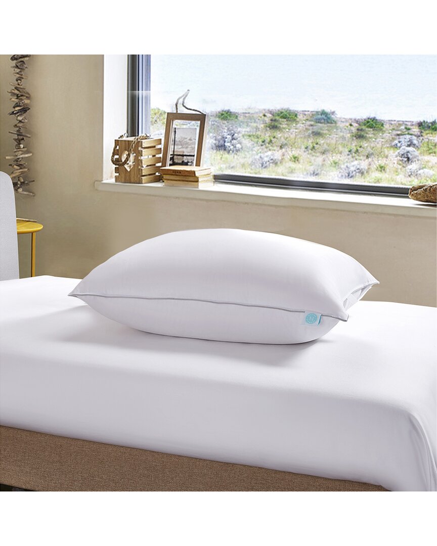 Martha Stewart 400 Threadcount Cotton Medium Firm Down Pillow In White