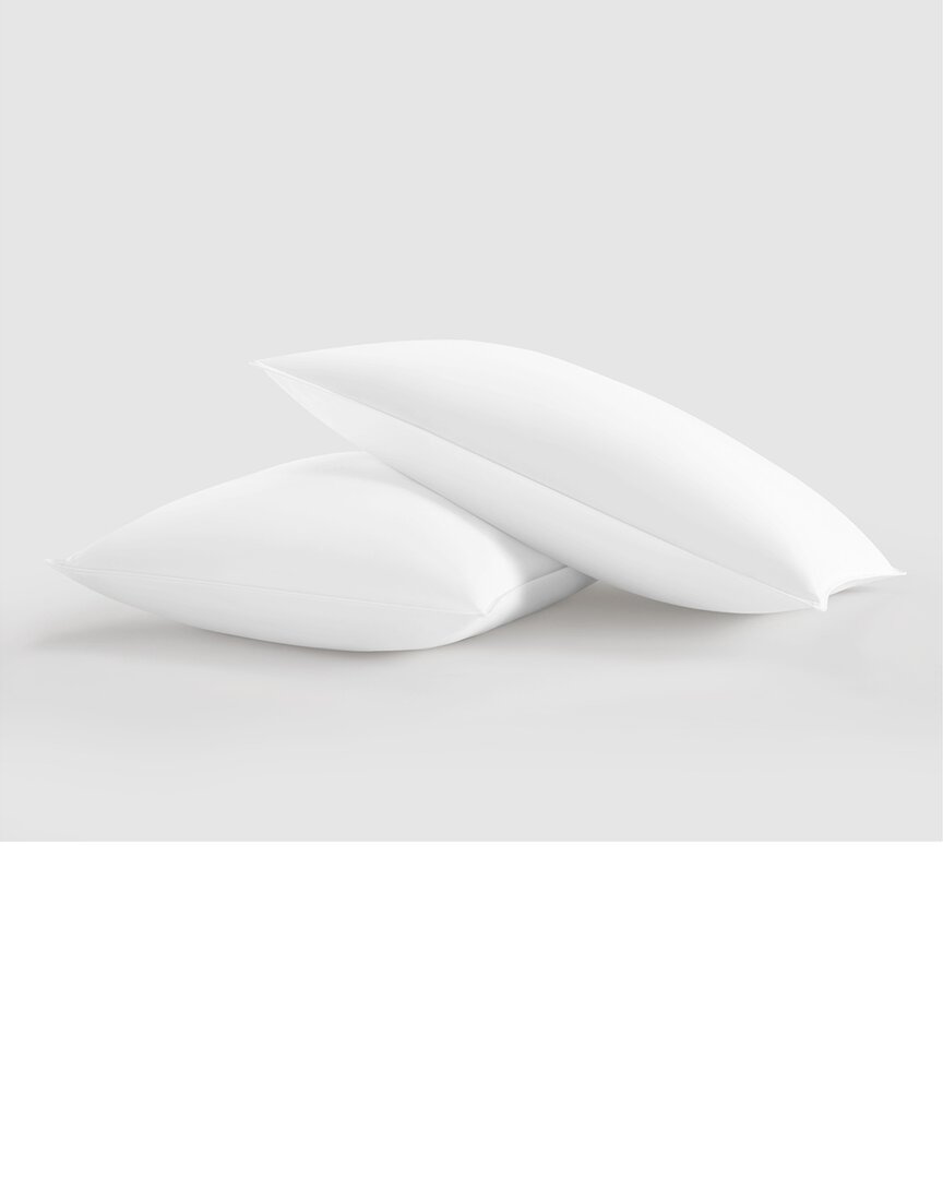 Shop New York And Company New York & Company Chic Duck Feather Cotton Pillow In White