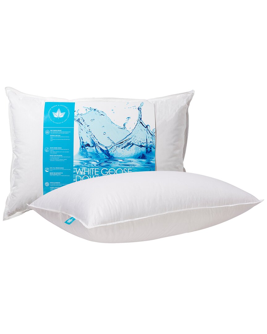 Shop Canadian Down & Feather Company White Goose Down Pillow Medium Support
