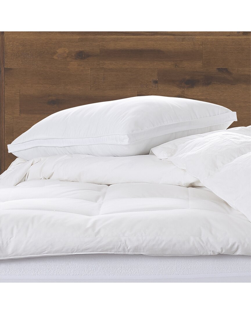 Ella Jayne Cotton Mesh Gusseted Shell Medium Density Memory Fiber Pillow In White