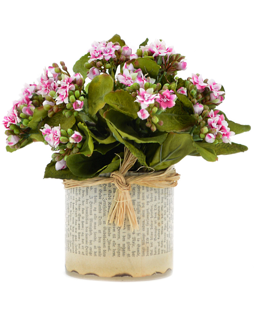 Creative Displays Pink Kalanchoe Floral Arrangement