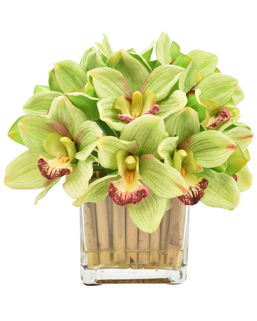 Creative Displays Green & Burgundy Orchid Floral Arrangement