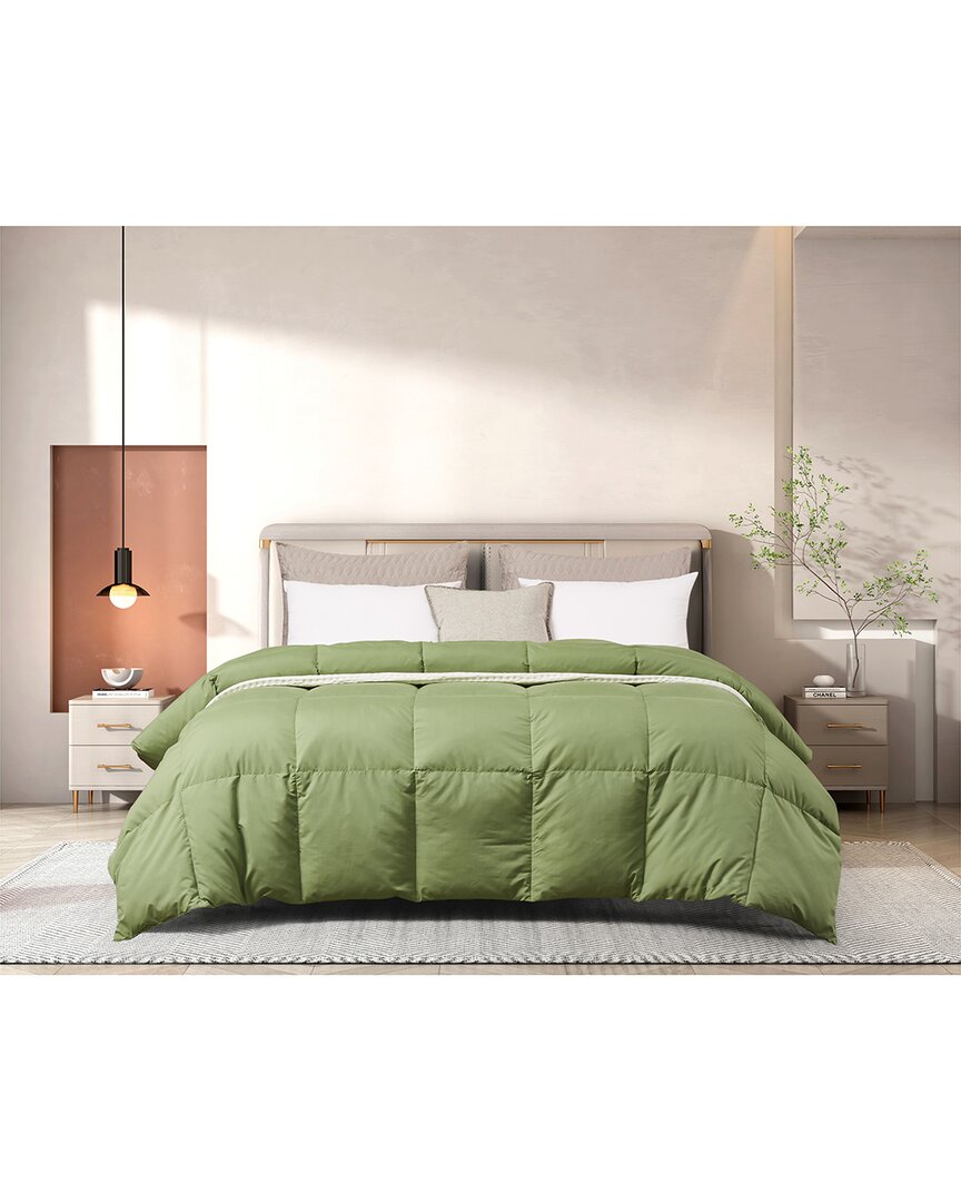 Beautyrest All-season Feather & Down Comforter In Green
