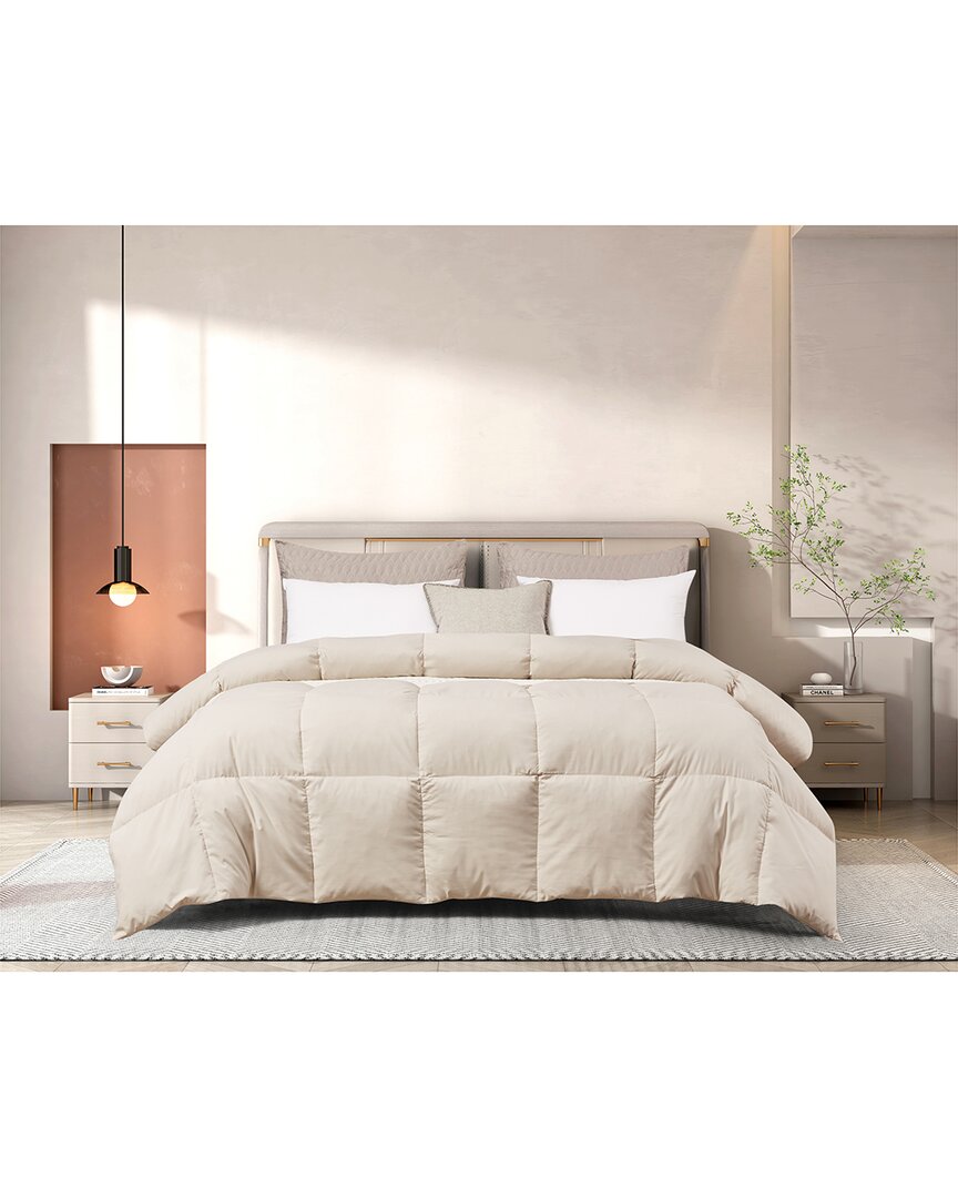 Beautyrest All-season Feather & Down Comforter In Ivory
