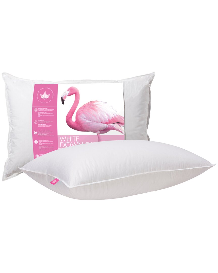 Canadian Down & Feather Company White Down Pillow Medium Support