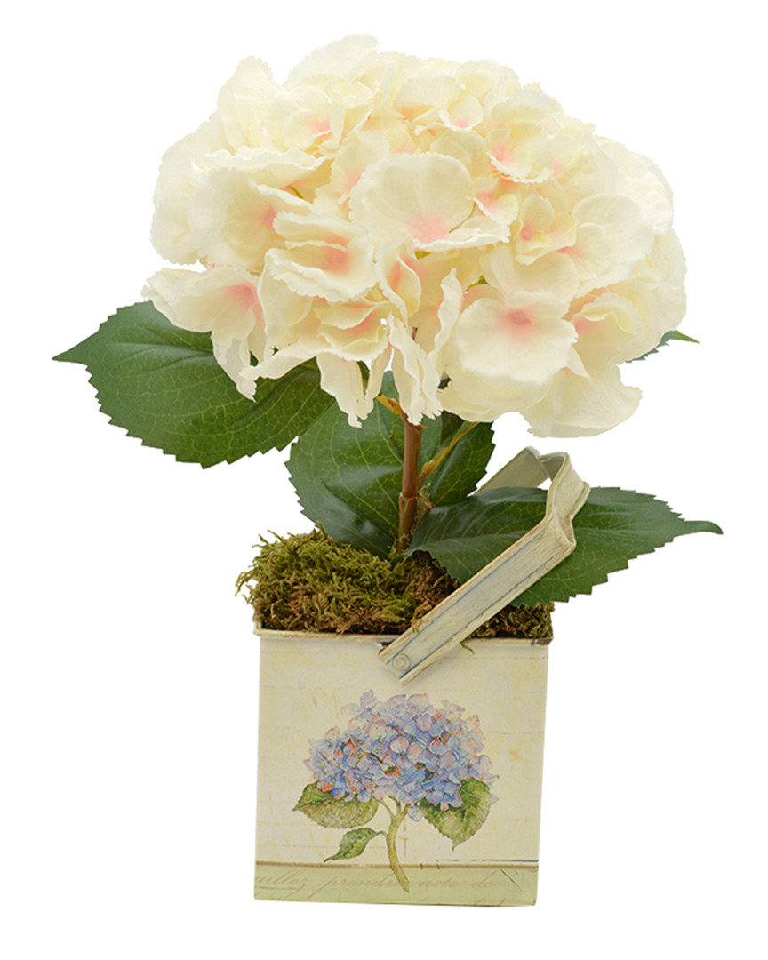 Creative Displays Discontinued Dnu  Cream & Pink Hydrangea Floral Arrangement