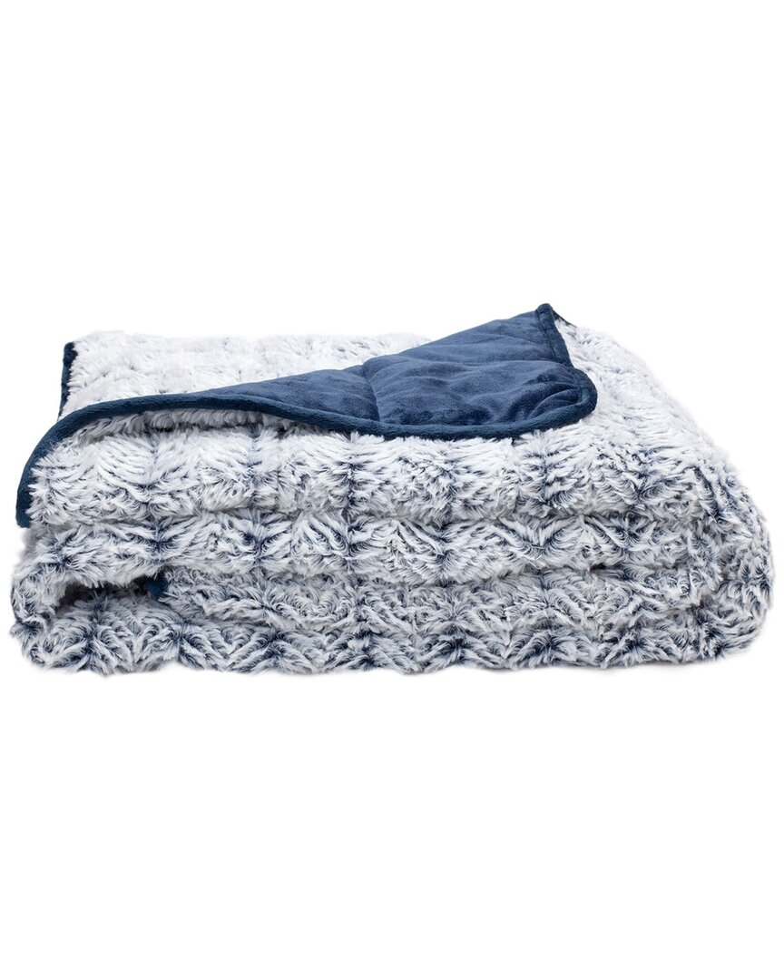 Sutton Home Dream Theory Plush Weighted Throw Blanket