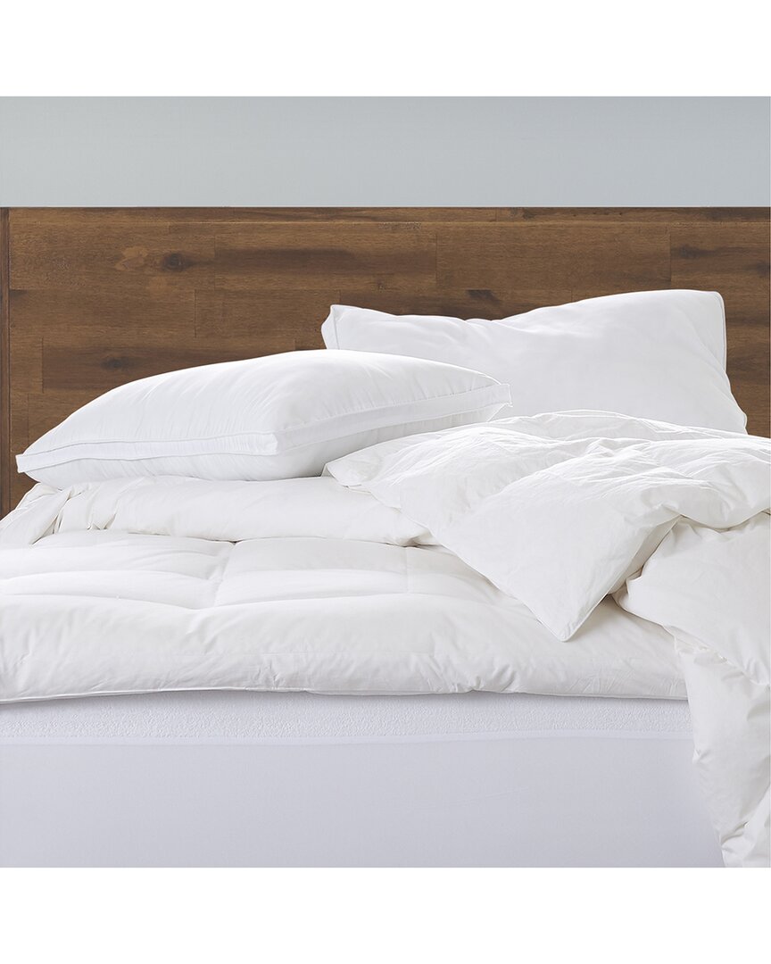 Ella Jayne Set Of 2 Soft Luxury Soft Gel Filled Stomach Sleeper Pillow In Nocolor