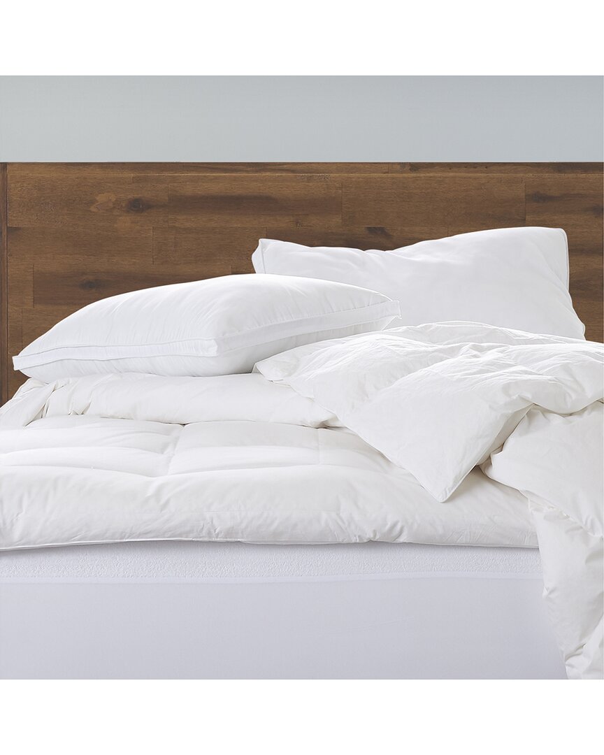 Ella Jayne Set Of 2 Soft Luxury Soft Gel Filled Stomach Sleeper Pillow In White