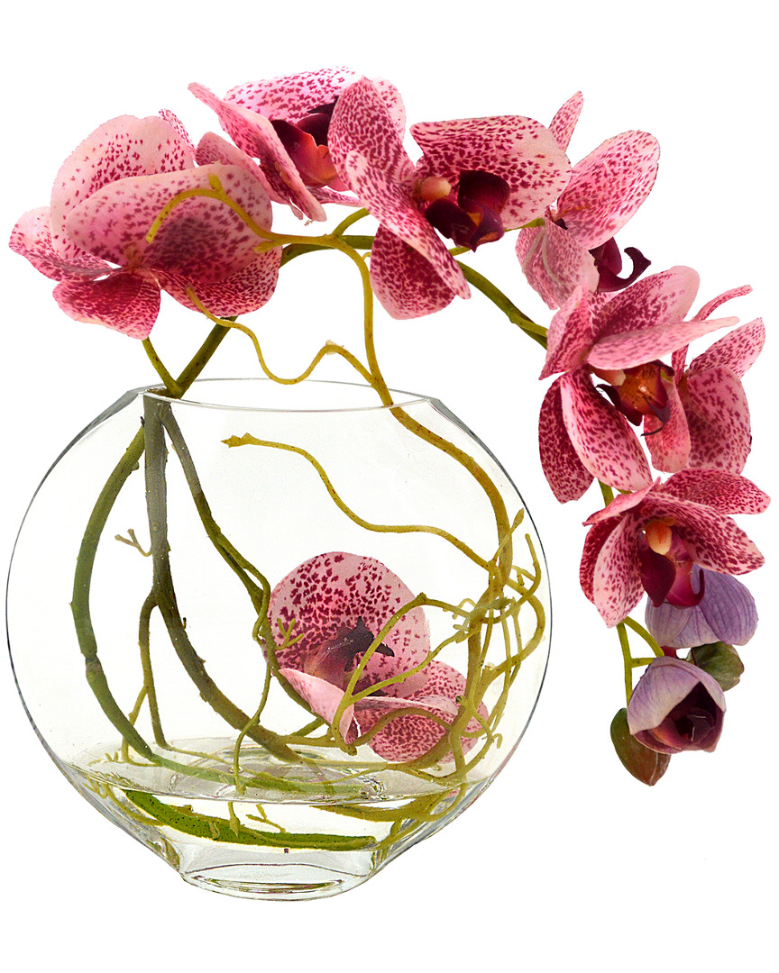 Creative Displays Yellow & Pink Orchid Floral Arrangement