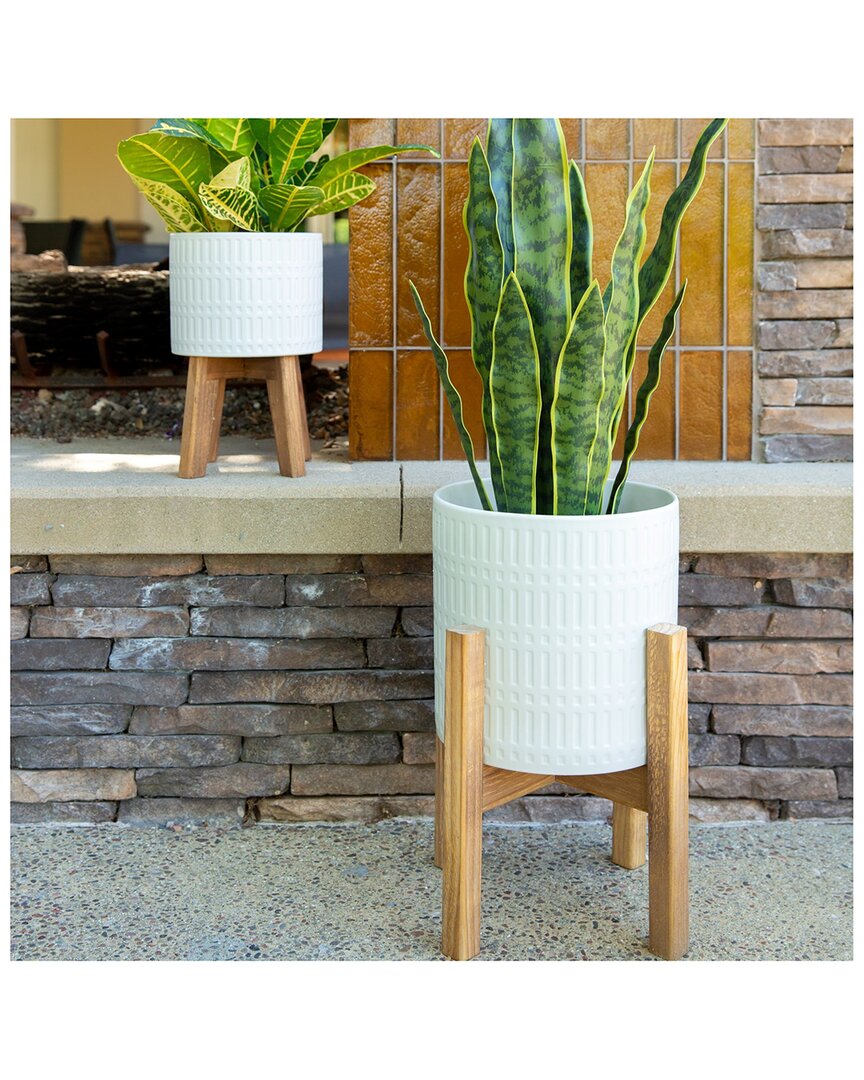 Flora Bunda Set Of 2 Roman Ceramic Planters On Wood Stands In White