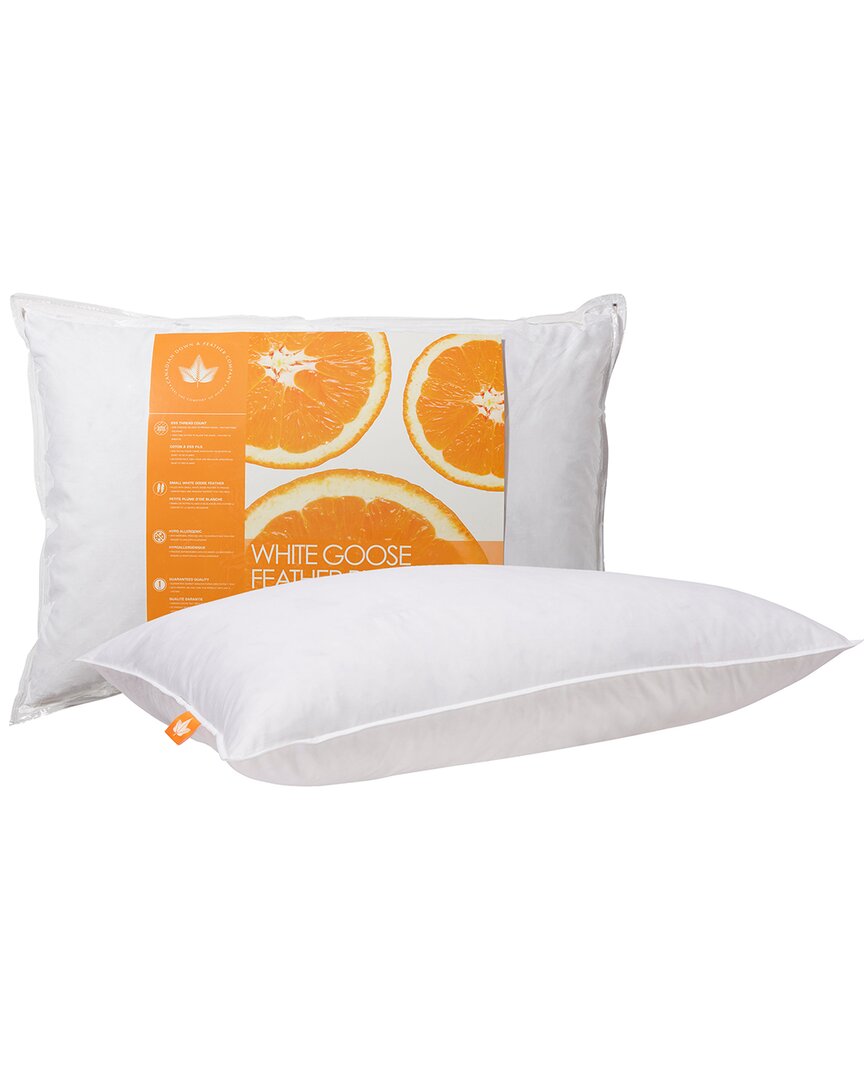 Shop Canadian Down & Feather Company White Goose Feather Pillow Medium Support