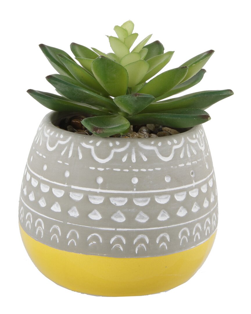 Flora Bunda Succulent In 2 Tone Mayan Ceramic Pot In Yellow
