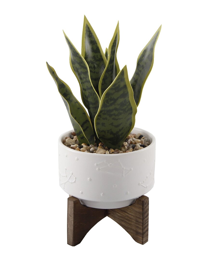 Flora Bunda 9.7in Snake Plant In 4.25in Constalition Ceramic Pot On Wood Stand In White