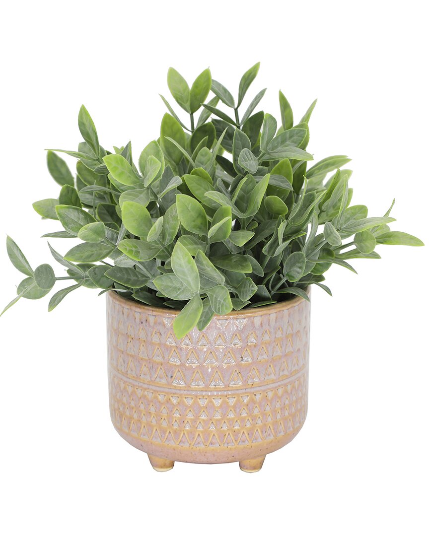Flora Bunda Tea Leaf In 5in Mauve Pharaoh Footed Pot In Mauve
