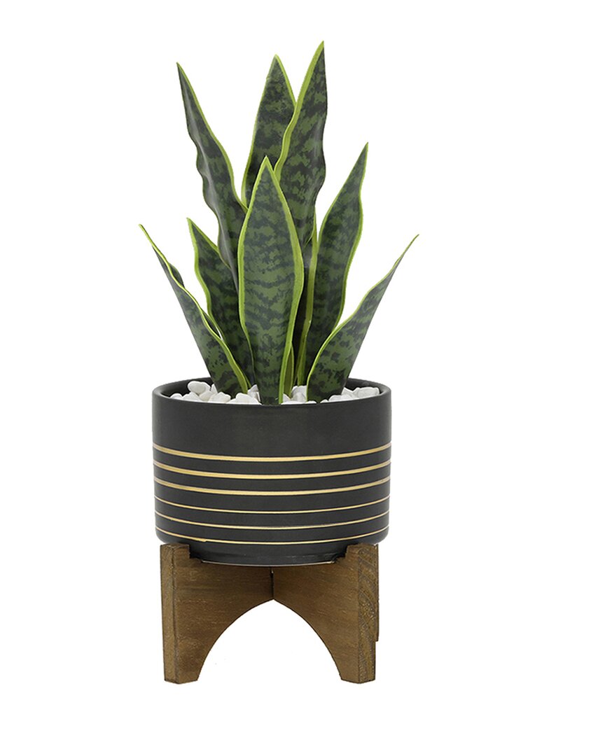 Flora Bunda 12inh Snake Plant In 4.75in Ceramic Planter On Wood Stand In Black