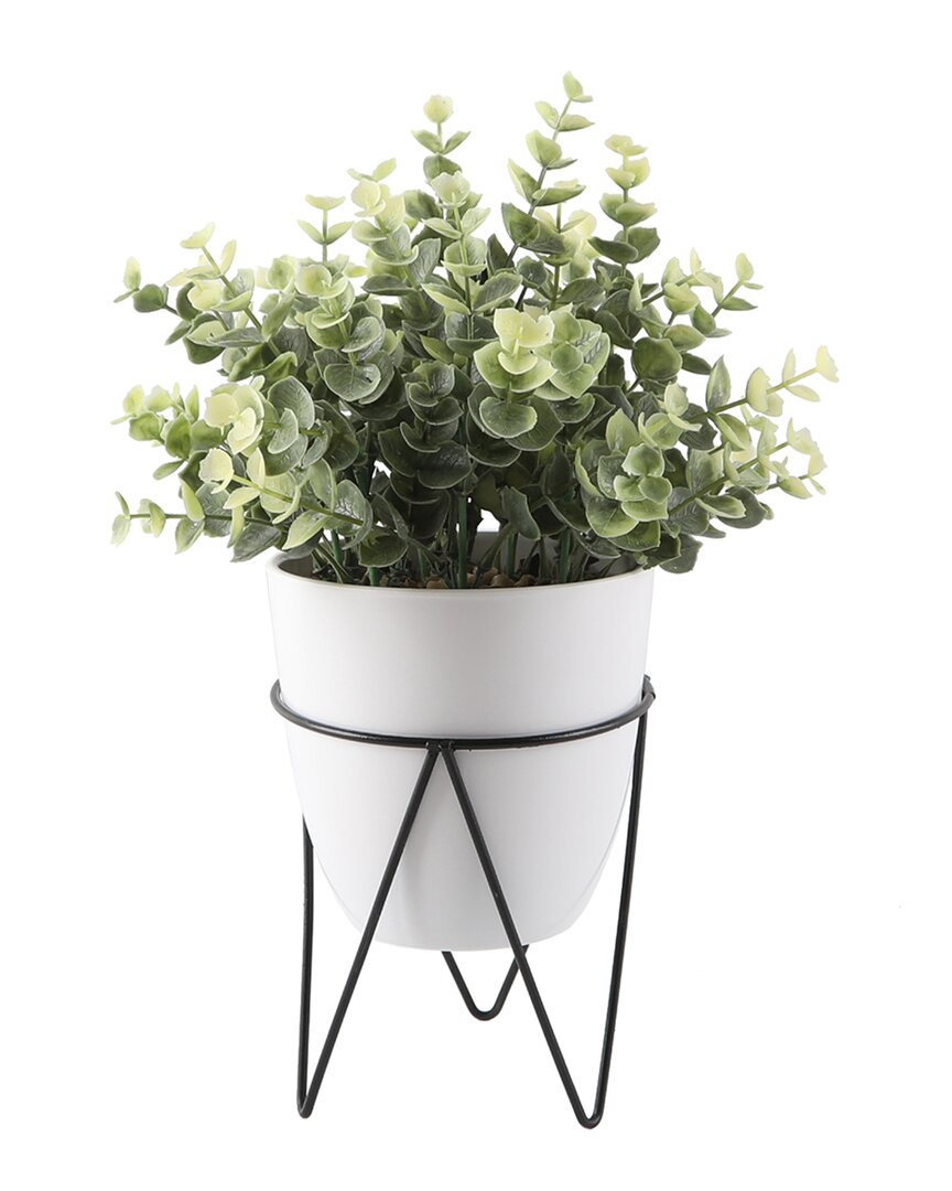 Flora Bunda 12in Eucalyptus In 4.75in Planter In White